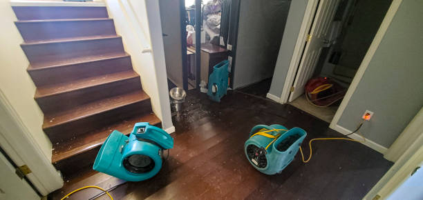 Best 24-hour water damage restoration  in Rolling Fork, MS