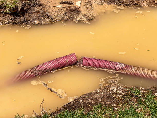 Best Commercial water damage restoration  in Rolling Fork, MS